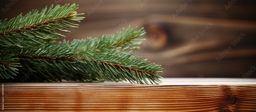 Aufkleber Copy space image of a fir tree branch resting on a wooden table