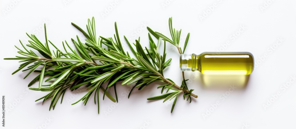 Poster a top view of a bottle of rosemary essential oil isolated on a white background the image represents