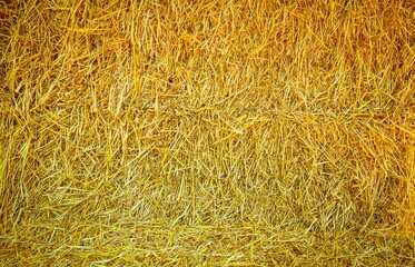 the abstract background texture with dramatic tone