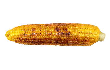 焼きとうもろこしのイラスト リアル 白バック