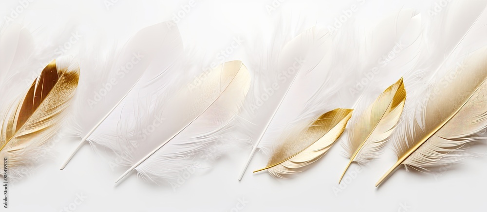 Poster Top view of white feathers with a radiant gold glitter on a white background creating a visually appealing flat lay image with ample copy space