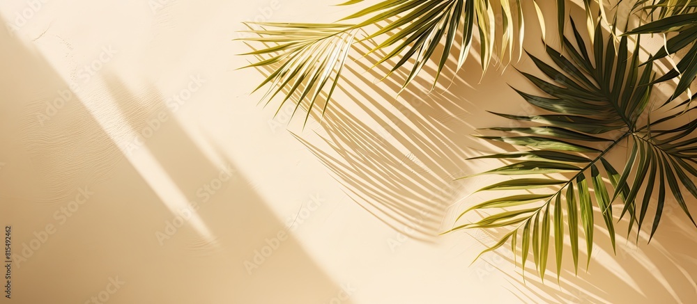 Poster summer concept with a creative minimal design featuring an abstract background of tropical palm leav