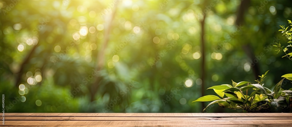 Poster a rustic wooden plank blending into the lush green forest with a soft background of light bokeh and 