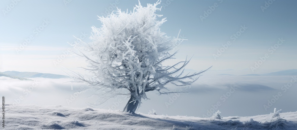 Poster An image of a frozen evergreen tree covered in ice suitable for use as a copy space image