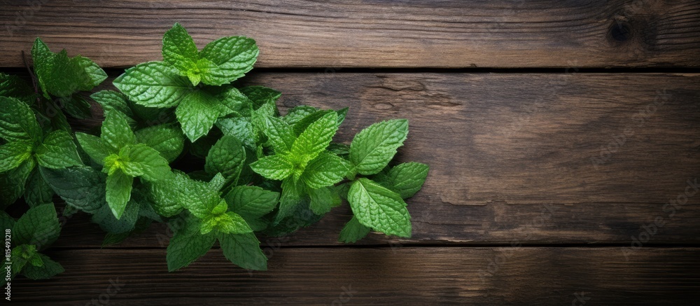 Aufkleber Top down view of a copy space image featuring fresh and fragrant mint leaves arranged on a rustic wooden background