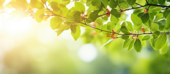 Obraz premium A beautiful background of fresh green leaves with sunlight featuring tiny red flowers Perfect as a wallpaper with copy space