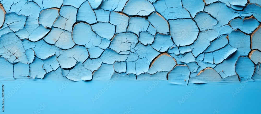 Poster Top view of tree bark pieces on a light blue background creating an image with copy space