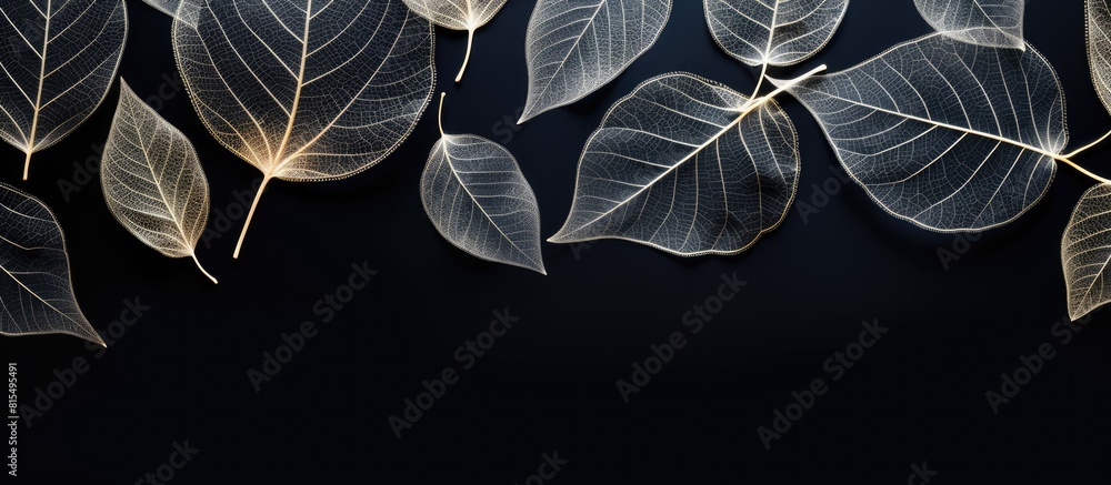 Poster Flat lay of elegant decorative skeleton leaves on a black background with room for text creating a visually stunning and versatile copy space image