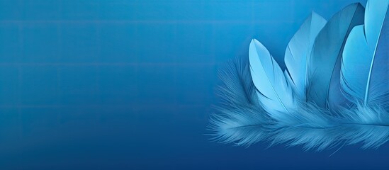 A blue background with decorative feathers providing ample copy space for text or images