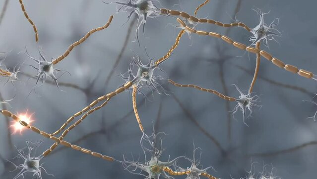 Neurons, Nervous tissues