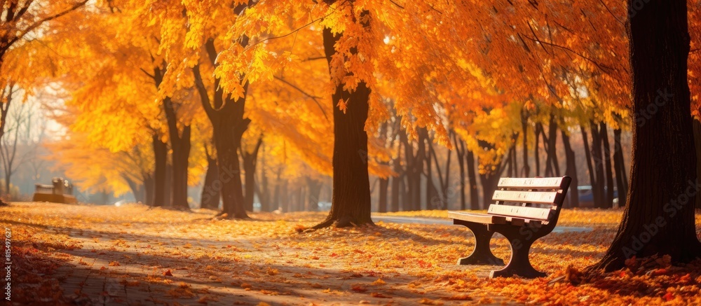 Poster a vibrant display of autumn leaves provides a picturesque backdrop for outdoor activities in the par