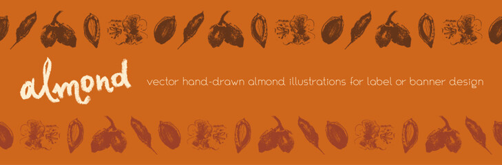 Almond frames for banner background or label template design. Organic almond seamless pattern. Garland almond nuts. Crayon drawings for almonds packaging or marzipan paste tag. Vector floral border.