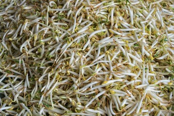 Top angle view of bean sprouts