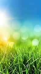 Obraz premium Abstract spring, summer grass meadow field. Beautiful fresh nature landscape environment.