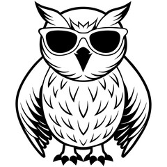 owl on white background