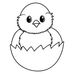 baby chicken with egg vector