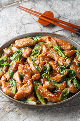 Pork tenderloin and Romaine Stir-Fry with soy sauce, sesame seeds closeup on the plate on the...
