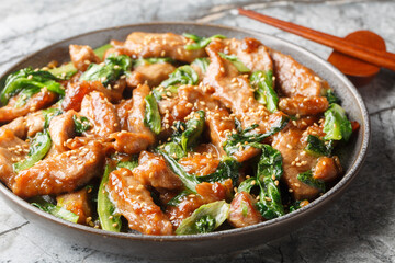 Asian stir-fried pork with romaine lettuce, sesame and garlic in a sweet spicy sauce close-up in a plate on the table. Horizontal