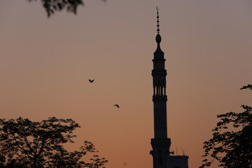 city tv tower at sunset