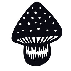  Mushroom 