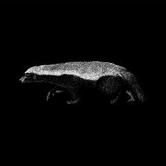 Honey Badger hand drawing vector isolated on black background.