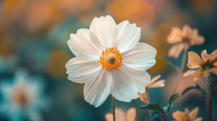 Macro shot of a white flower on a nature themed backdrop with a lovely array of soft hues