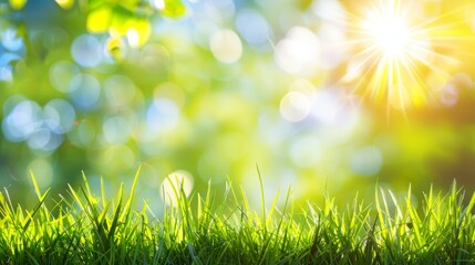 Obraz premium Abstract spring, summer grass meadow field. Beautiful fresh nature landscape environment.