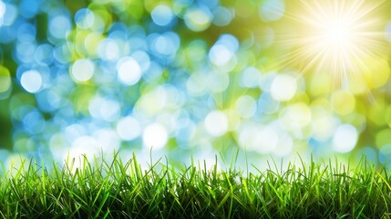 Obraz premium Abstract spring, summer grass meadow field. Beautiful fresh nature landscape environment.