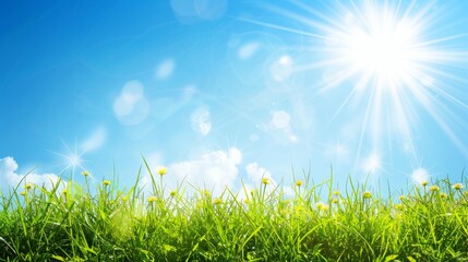 Obraz premium Abstract spring, summer grass meadow field. Beautiful fresh nature landscape environment.