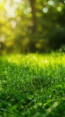 Naklejka premium Abstract spring, summer grass meadow field. Beautiful fresh nature landscape environment.