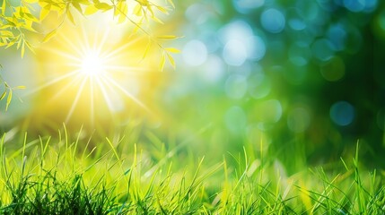 Obraz premium Abstract spring, summer grass meadow field. Beautiful fresh nature landscape environment.