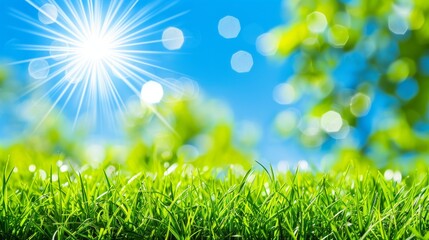 Obraz premium Abstract spring, summer grass meadow field. Beautiful fresh nature landscape environment.