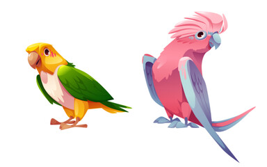 Colorful parrot birds set isolated on blue background. Vector cartoon illustration of cute exotic mascot with color feather, beak and wings, tropical nature design elements, jungle wildlife characters