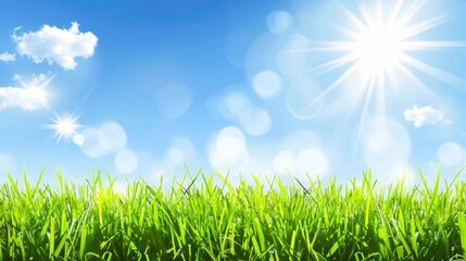 Obraz premium Abstract spring, summer grass meadow field. Beautiful fresh nature landscape environment