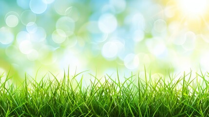 Obraz premium Abstract spring, summer grass meadow field. Beautiful fresh nature landscape environment