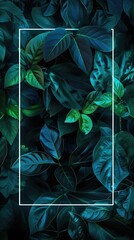 tropical leaves with white frame, abstract green leaves nature view of leaf in garden