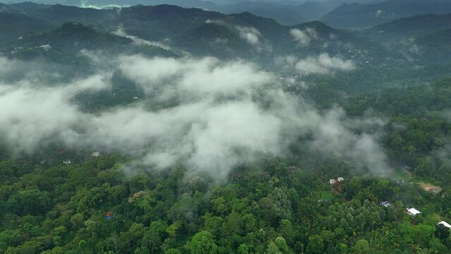 Distant aerial view of a dense rainforest vegetation mountains and misty clouds areal views of munnar kerala india