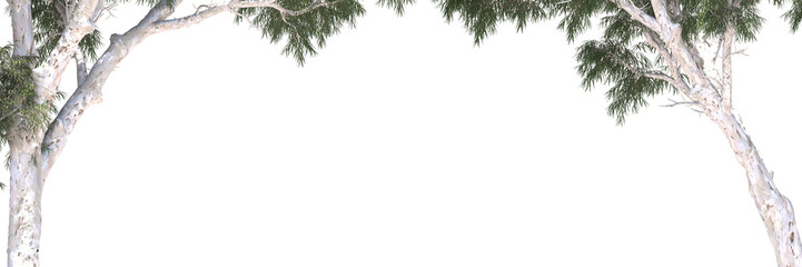 Various types of tree branch plants bushes shrub and and small plants isolated