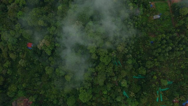 Distant aerial view of a dense rainforest vegetation mountains and misty clouds areal views of munnar kerala india