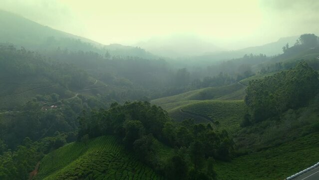 Panoramic beautiful misty tea plantation world class top tea plantations in the hills of Munnar, Kerala, India.