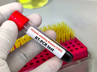 Blood sample for Chronic wasting disease (CWD) or zombie deer disease (RT PCR) test. It's a...