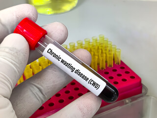 Blood sample for Chronic wasting disease (CWD) or zombie deer disease (RT PCR) test. It's a...