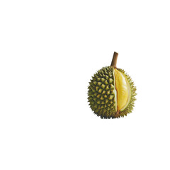 A large, green durian fruit with a yellow seed in the middle
