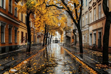 Wetness on Old Town Street After Rainfall