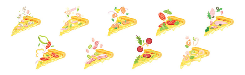 Tasty Pizza Slice Cut Float with Topping Vector Set