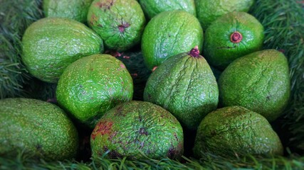 avocado on market
