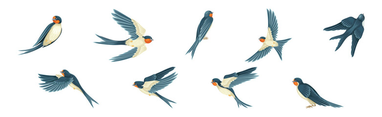 Swallow or Martin Passerine Bird with Long Tail and Pointed Wings Flying and Gliding Vector Set