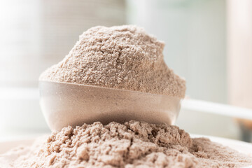 Whey protein powder in measuring scoop