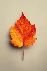 Autumn Season, Autumn Background, Falling Leaves.