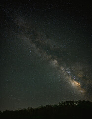流れ星と共に輝く天の川、森のシルエットが浮かぶ夜空